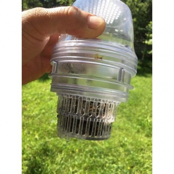 VARROA TESTER PER MONITORAGGIO INFESTAZIONE VARROA