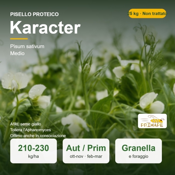 Semi di Pisello Proteico Karacter – 25 kg – Granella e Foraggio...