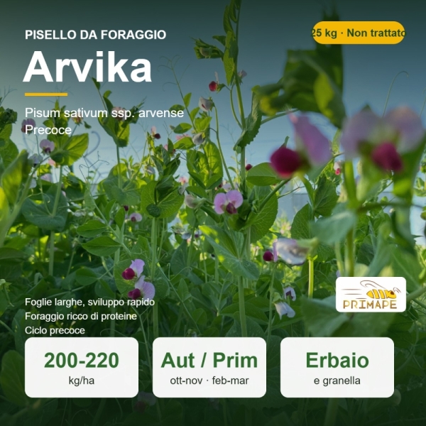 Semi di Pisello da Foraggio Arvika – 25 kg – Erbaio e Granella ...
