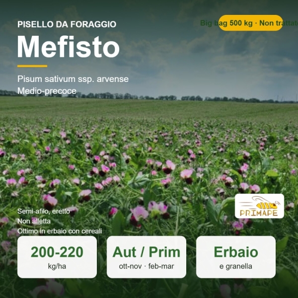 Semi di Pisello da Foraggio Mefisto – 500 kg Big Bag – Erbaio e...
