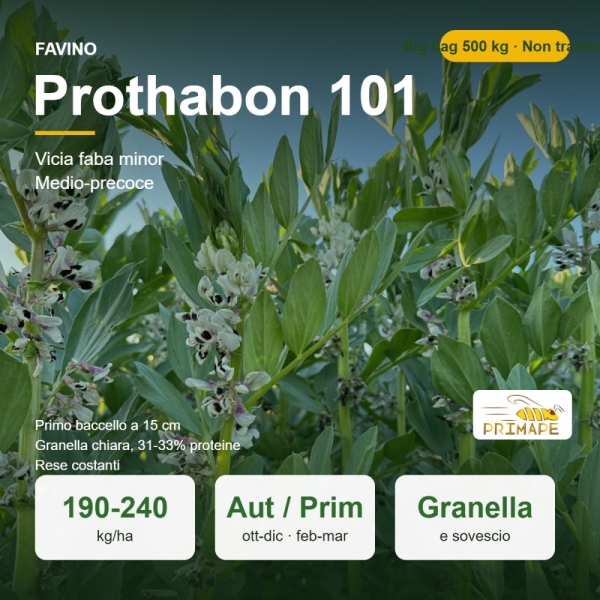 Semi di Favino Prothabon 101 – 500 kg Big Bag – Granella e Sove...