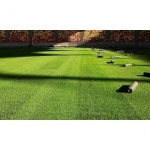 SEMI PER TAPPETO ERBOSO TOP CLASS - WINTER SPORTFIELD REGENERATION 10KG
