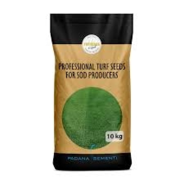 SEMI PER TAPPETO ERBOSO TOP CLASS 4 SOD - FORTE NEW PLUS 10 KG