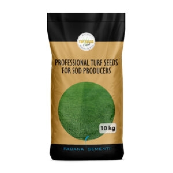 SEMI PER TAPPETO ERBOSO TOP CLASS 4 SOD - SPECIAL SOD 10 KG