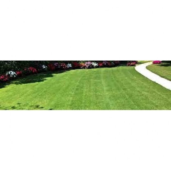 SEMI PER TAPPETO ERBOSO NATURAL GARDEN NATURFAST 5 KG - SEME CONFETTATO CON ACTIVECOAT