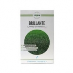 SEMI PER TAPPETO ERBOSO TOP GREEN - BRILLANTE 10 KG IN CONFEZIONI DA 0,5 KG
