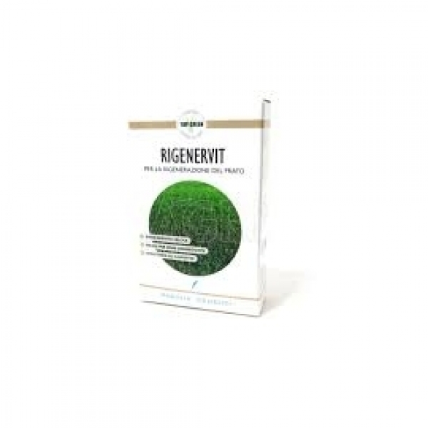 SEMI PER TAPPETO ERBOSO TOP GREEN - RIGENERVIT 25 KG