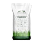 SEMI DI TAPPETO ERBOSO TURF GREEN - SPORT 5 KG