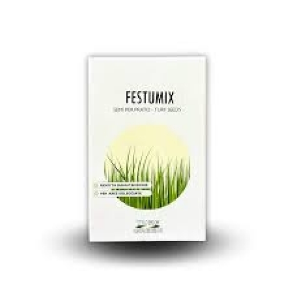 SEMI DI TAPPETO ERBOSO TURF GREEN - FESTUMIX 10 KG