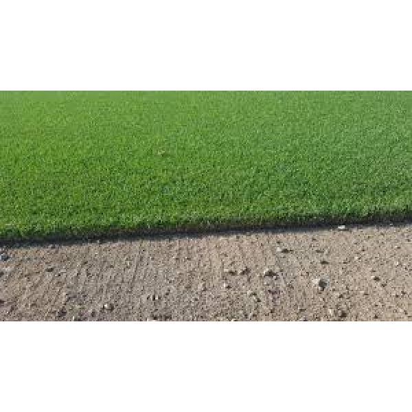 SEMI PER TAPPETO ERBOSO FESTUCA ARUNDINACEA - DETONATE LS 0/0 (RIZO...