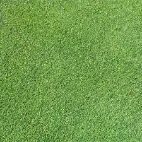 SEMI PER TAPPETO ERBOSO SPECIALITA' MICROTERME - AGROSTIDE TENUE HIGHLAND 22,7 KG