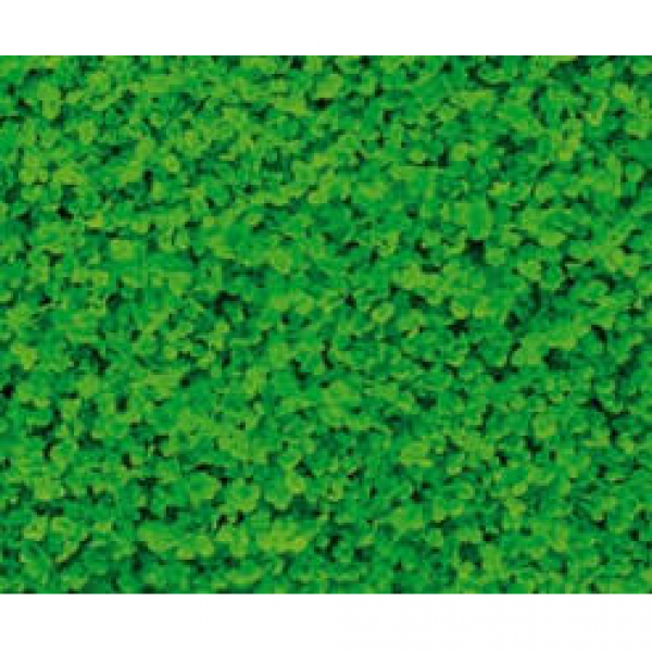 SEMI PER TAPPETO ERBOSO SPECIALITA' MICROTERME - TRIFOGLIO REPENS N...