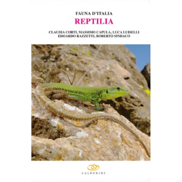 LIBRO -  FAUNA D'ITALIA VOL. XLV - REPTILIA di Claudia Corti, Edoar...