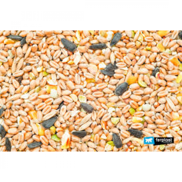 MISCELA DI SEMI PER CANARINI - SUPER 20 KG IN CONFEZIONI DA 1 KG