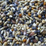 MIX DI SEMI F. 9 PER UCCELLI TIPO SPECIALE - 0,5 KG