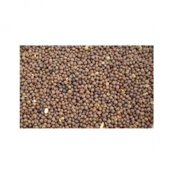 MISCELA DI SEMI COCOCRITE- KG 25