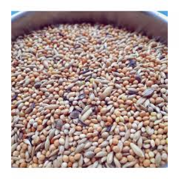 MISCELA DI SEMI COCORITE - KG25 IN CONFEZIONI DA KG5