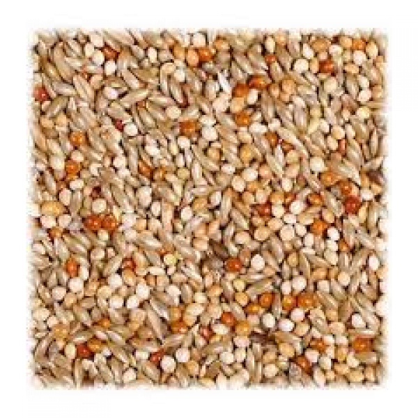 MISCELA DI SEMI COCORITE - KG20 IN CONFEZIONI DA 1KG