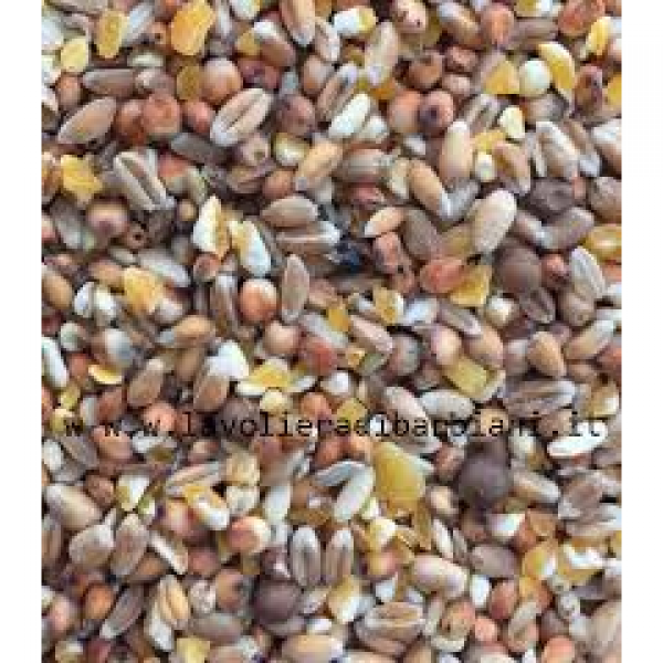 MIX DI SEMI PER COLOMBI 5 KG U.Z.