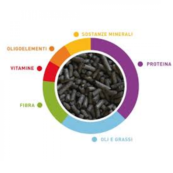 SEMI DI VALMAN BLACK PELLETS - 12 PEZZI DA 1 KG CIASCUNO
