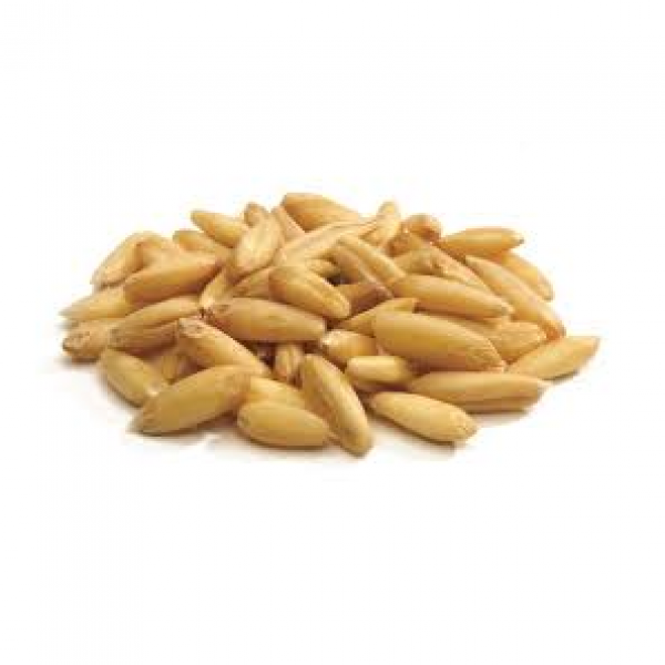 SEMI DI AVENA DECORTICATA 25 KG U.Z.