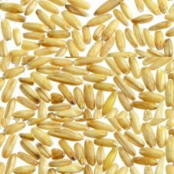 SEMI DI AVENA DECORTICATA - 20 PZ IN CONFEZIONI DA 1 KG CIASCUNO U.Z.