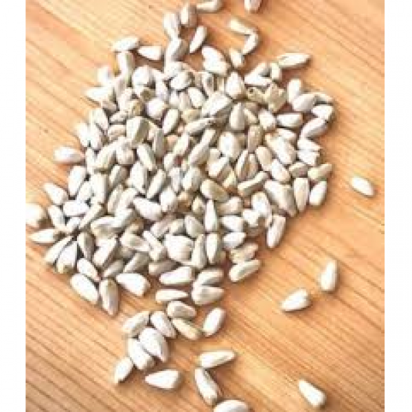 SEMI DI COLZA USO ZOOTECNICO - 25 KG