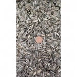 SEMI DI GIRASOLI STRIATI PICCOLI U.Z. - 5KG