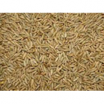 SEMI DI MEZZA GRANA DI RISO U.Z. 25 KG