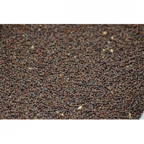 SEMI DI RAVIZZONE - 25 KG U.Z.