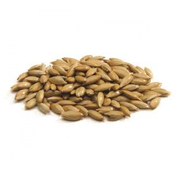 SEMI DI SCAGLIOLA - 25 KG U.Z.