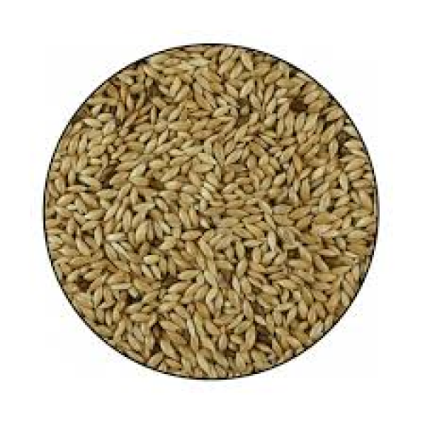SEMI DI SCAGLIOLA USO ZOOTECNICO - 5 KG