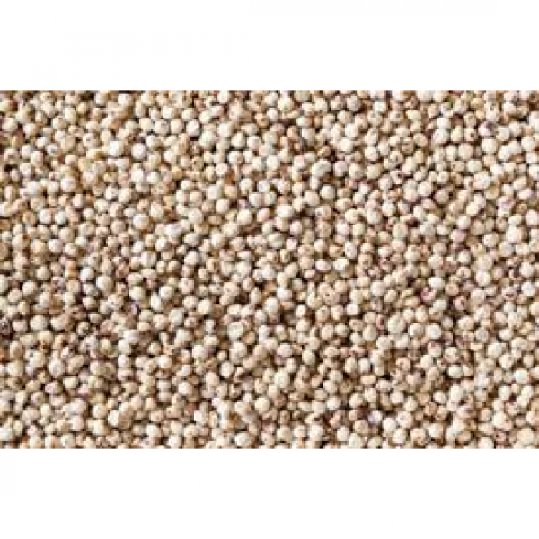 SEMI DI SORGO BIANCO 25 KG - USO ZOOTECNICO