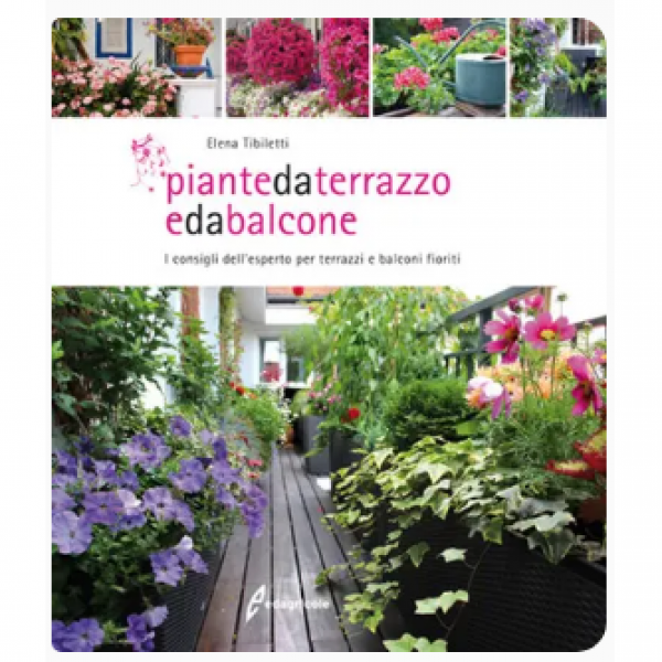 LIBRO - PIANTE DA TERRAZZO E DA BALCONE di Elena Tibiletti