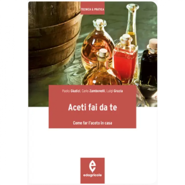 LIBRO - ACETI FAI DA TE di Paolo Giudici, Carlo Zambonelli, Luigi G...