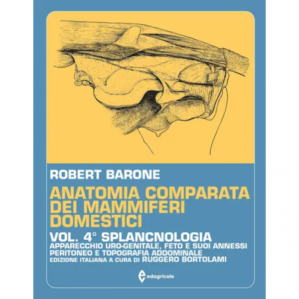 LIBRO - ANATOMIA COMPARATA DEI MAMMIFERI DOMESTICI - VOLUME 4 di Ro...