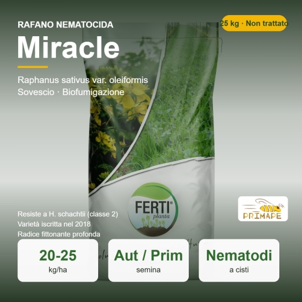 Semi di Rafano Nematocida Miracle – 25 kg – Sovescio e Biofumig...