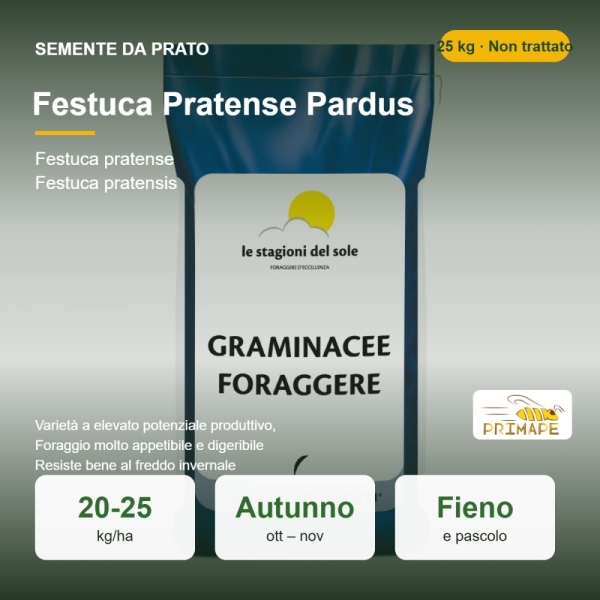 Semi di Festuca Pratense Pardus – 25 kg – Prato e Foraggio – ...