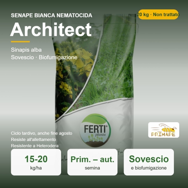 Semi di Senape Bianca Nematocida Architect – 20 kg – Sovescio e...