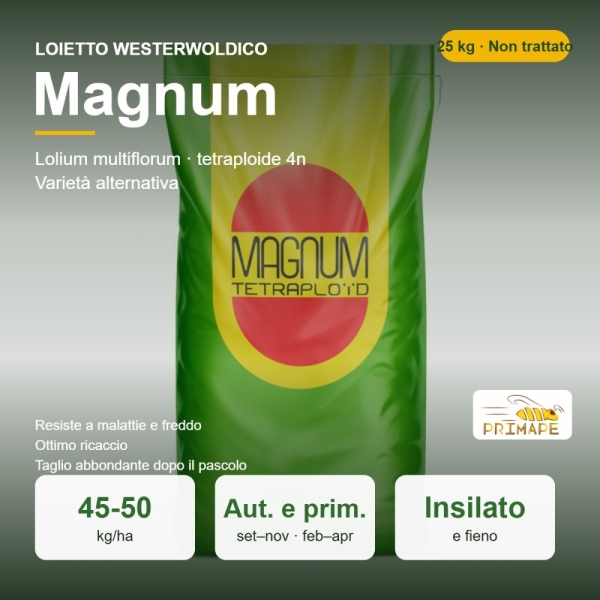 Semi di Loietto Westerwoldico Magnum – 25 kg – Insilato e Pasco...