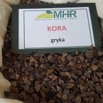 SEMI DI GRANO SARACENO VARIETÀ GRYKA 20 KG - NON TRATTATO