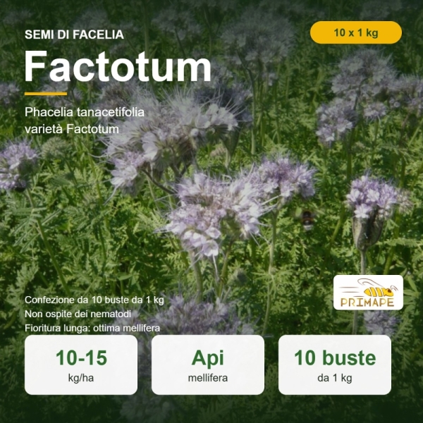Semi di Facelia Factotum – 1 kg x 10 pz – Sovescio e Mellifera ...
