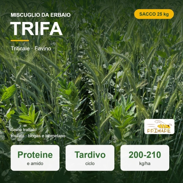Miscuglio da Erbaio Trifa – 25 kg – Trattato – Per Insilato e Biogas