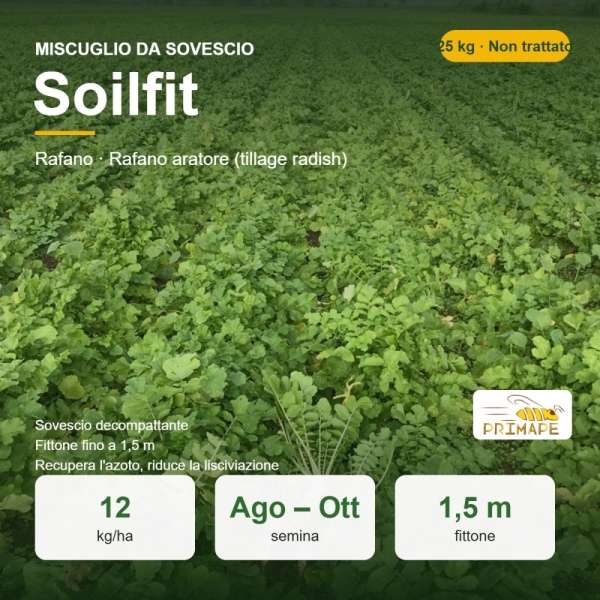 Miscuglio Sovescio Soilfit – 25 kg – Non trattato – Per Sovescio Decompattante