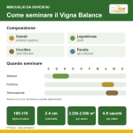 Miscuglio Sovescio Vigna Balance – 25 kg – Non trattato – Per Vigneto e Frutteto
