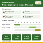 Semi di Rafano Nematocida Octopus Bio – 25 kg – Per Sovescio e Biofumigazione