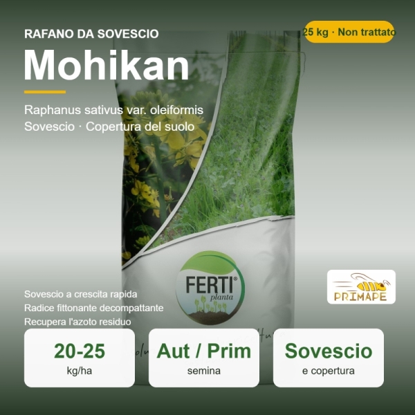 Rafano da Sovescio Mohikan – 25 kg – Non trattati – Per Sovescio e Copertura