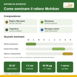 Rafano da Sovescio Mohikan – 25 kg – Non trattati – Per Sovescio e Copertura