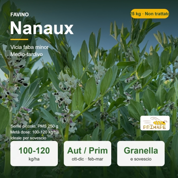 Semi di Favino Nanaux – 25 kg – Granella e Sovescio – Non tra...