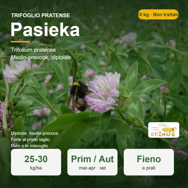 Semi di Trifoglio Pratense Pasieka – 10 kg – Fieno e Prato – ...